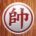 spicy bet casino截图