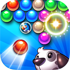 space bet casino截图